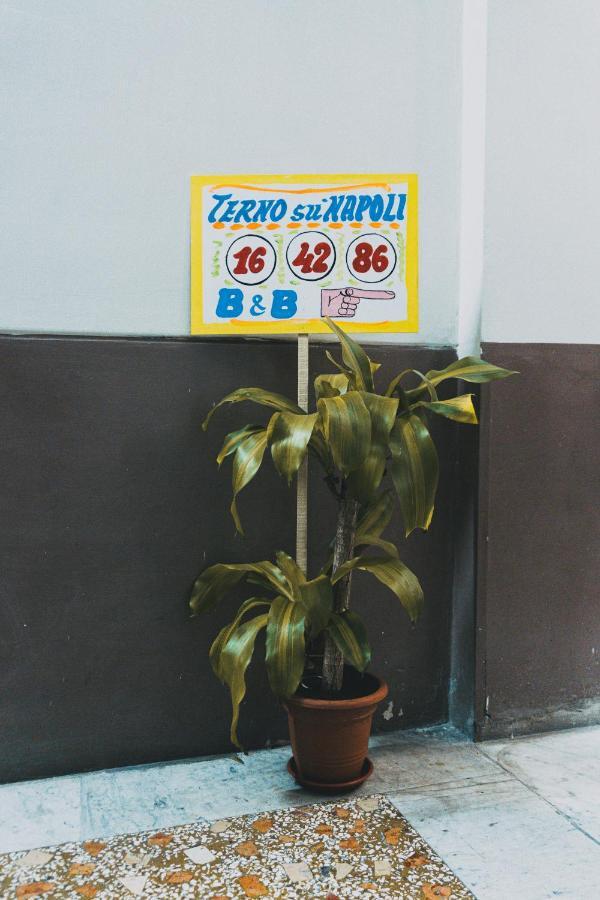 Terno Su Napoli Acomodação com café da manhã Exterior foto